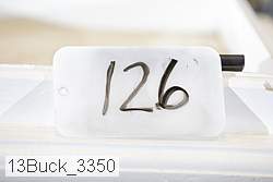 13buck_3350 thumbnail