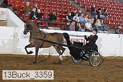 13buck_3359 thumbnail