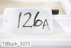 13buck_3373 thumbnail