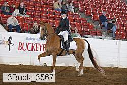 13buck_3567 thumbnail