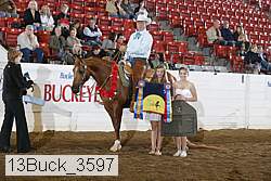 13buck_3597 thumbnail