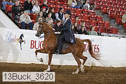 13buck_3620 thumbnail