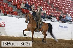 13buck_3627 thumbnail