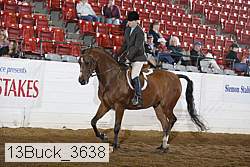 13buck_3638 thumbnail