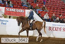 13buck_3642 thumbnail