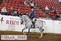 13buck_3646 thumbnail