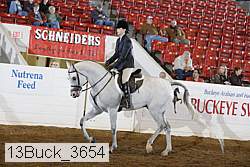 13buck_3654 thumbnail