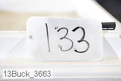 13buck_3663 thumbnail