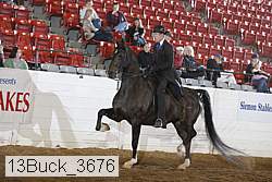 13buck_3676 thumbnail