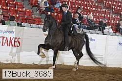 13buck_3685 thumbnail