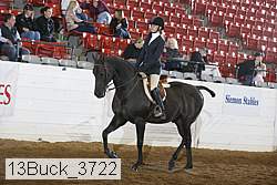 13buck_3722 thumbnail