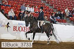 13buck_3733 thumbnail