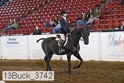 13buck_3742 thumbnail