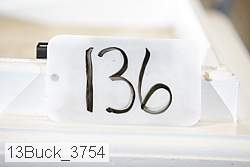 13buck_3754 thumbnail