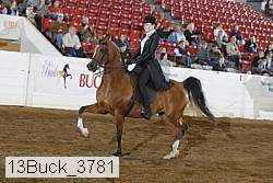 13buck_3781 thumbnail