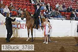 13buck_3788 thumbnail