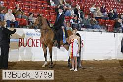 13buck_3789 thumbnail