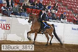 13buck_3812 thumbnail