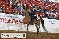 13buck_3819 thumbnail