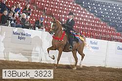 13buck_3823 thumbnail