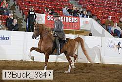 13buck_3847 thumbnail