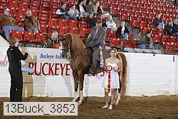 13buck_3852 thumbnail