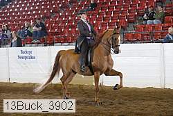 13buck_3902 thumbnail