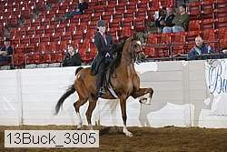 13buck_3905 thumbnail