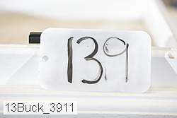 13buck_3911 thumbnail