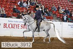 13buck_3912 thumbnail