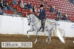 13buck_3923 thumbnail