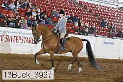 13buck_3927 thumbnail