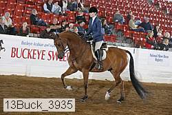 13buck_3935 thumbnail
