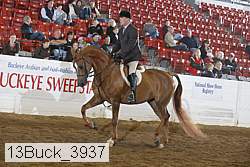 13buck_3937 thumbnail