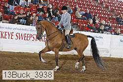 13buck_3938 thumbnail