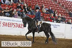 13buck_3939 thumbnail
