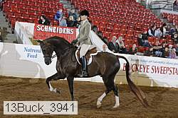 13buck_3941 thumbnail