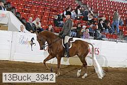 13buck_3942 thumbnail