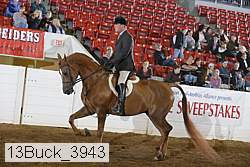 13buck_3943 thumbnail