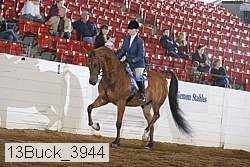 13buck_3944 thumbnail