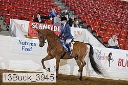 13buck_3945 thumbnail