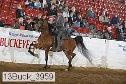 13buck_3959 thumbnail