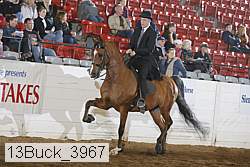 13buck_3967 thumbnail