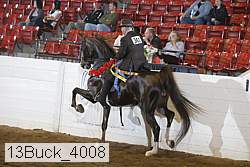 13buck_4008 thumbnail