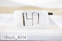 13buck_4014 thumbnail