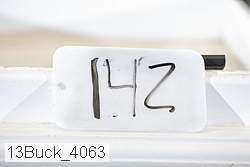 13buck_4063 thumbnail