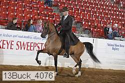 13buck_4076 thumbnail