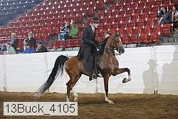 13buck_4105 thumbnail