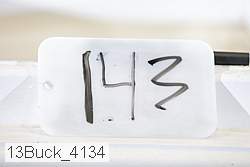 13buck_4134 thumbnail