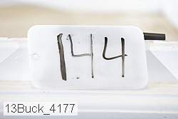 13buck_4177 thumbnail